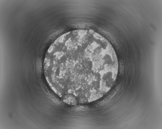 X0000111590453200908271012