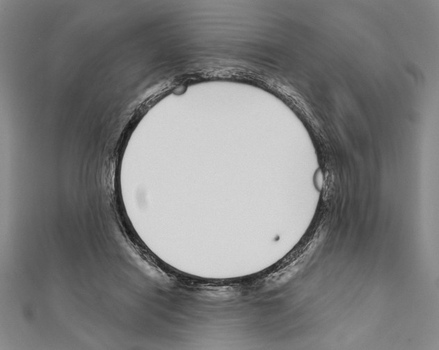 X0000111590454200908271012