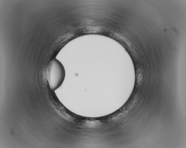 X0000111590455200908271012
