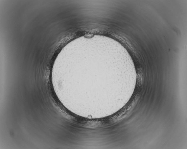 X0000111590458200908271012
