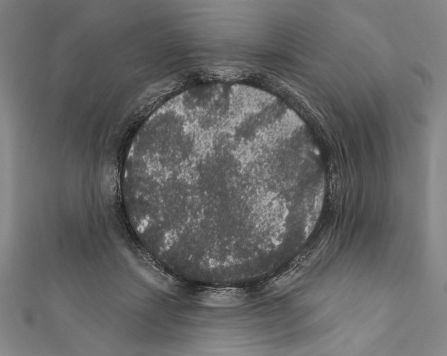 X0000111590459200908271013