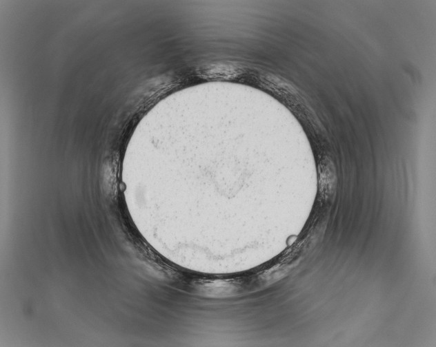 X0000111590460200908271013
