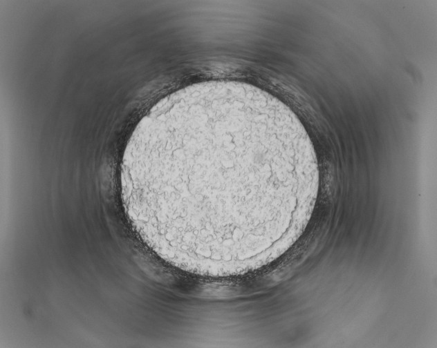 X0000111590461200908271013