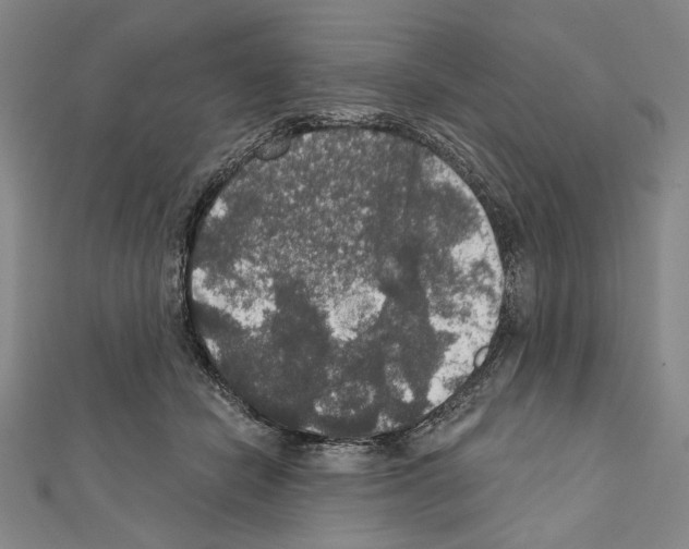 X0000111590462200908271013