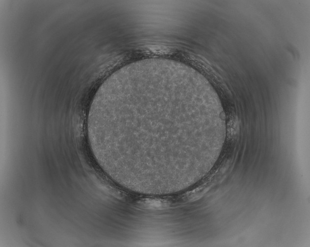 X0000111590464200908271013