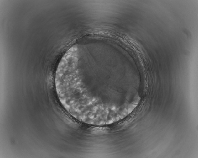 X0000111590465200908271013