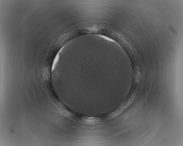 X0000111590467200908271013