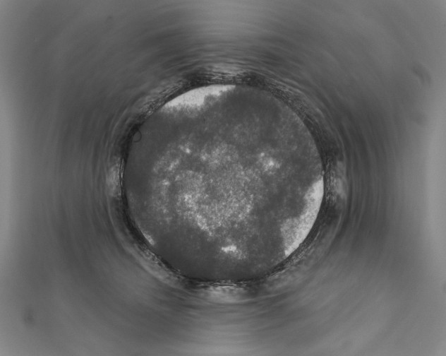 X0000111590468200908271013