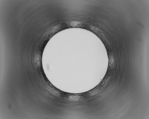X0000111590470200908271013