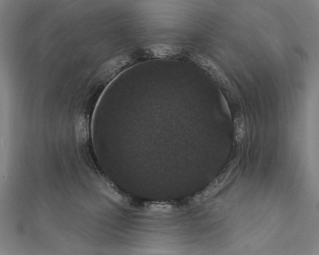 X0000111590471200908271013
