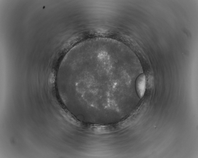 X0000111590472200908271013