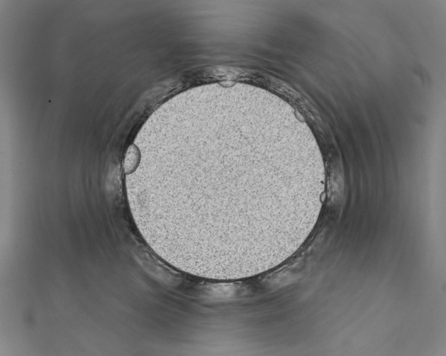 X0000111590473200908271013