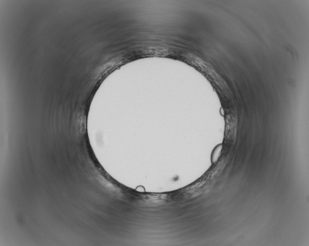 X0000111590474200908271013