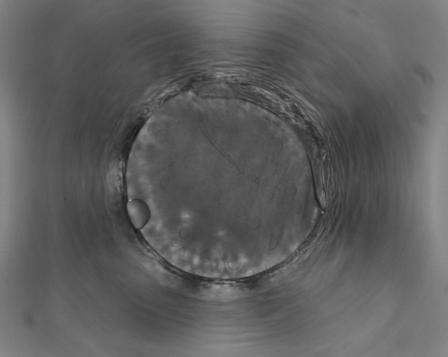 X0000111590475200908271013