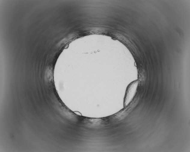 X0000111590478200908271013