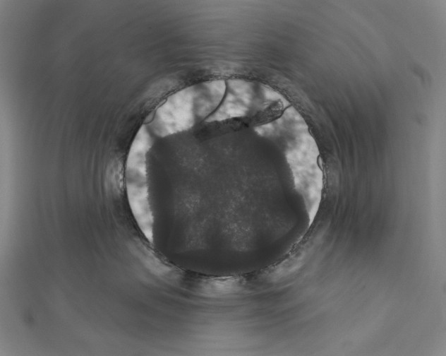 X0000111590479200908271013
