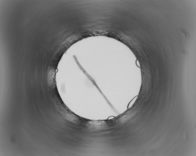 X0000111590480200908271013
