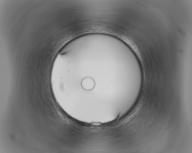 X0000111590481200908271012
