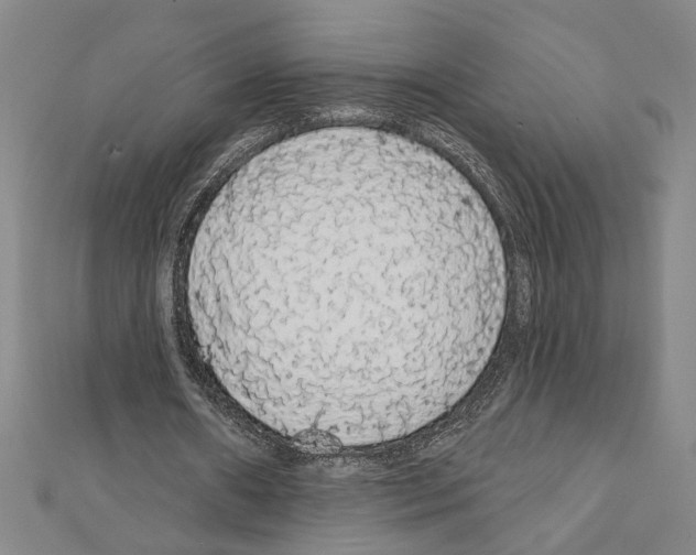 X0000111590482200908271012