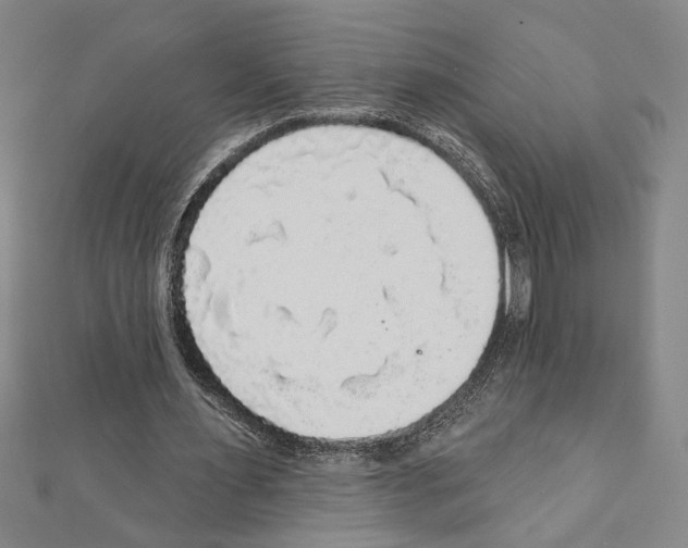 X0000111590483200908271012