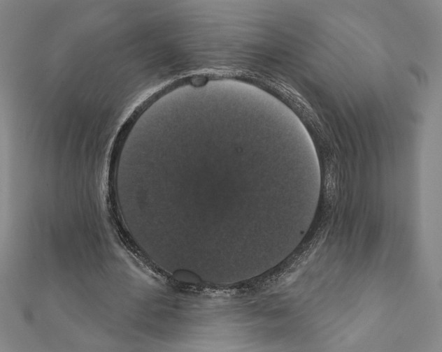 X0000111590484200908271012