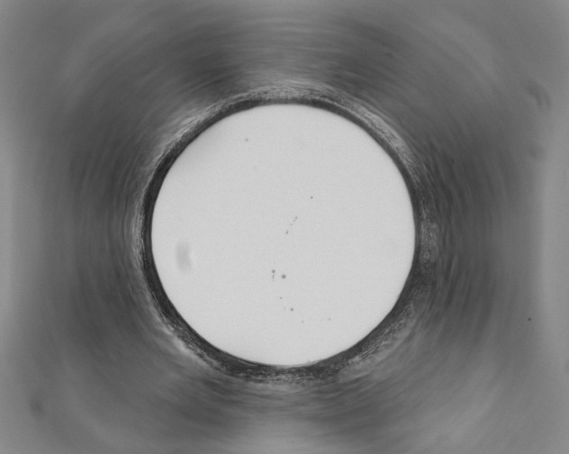 X0000111590485200908271012