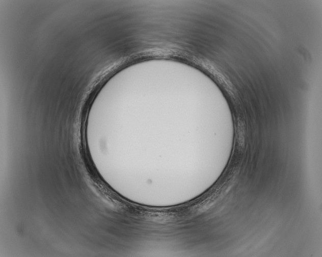 X0000111590486200908271012