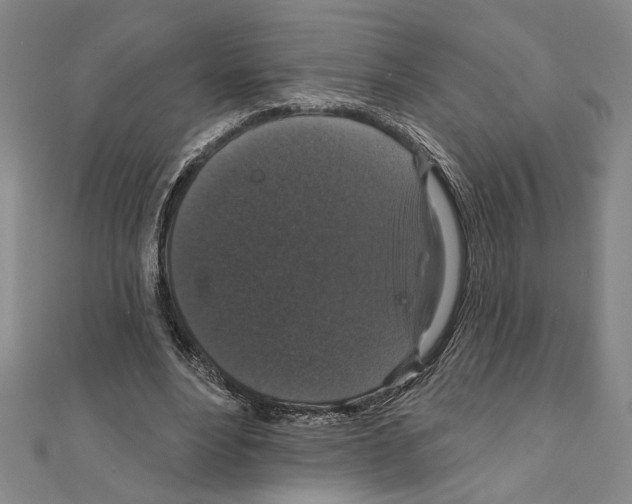 X0000111590488200908271012
