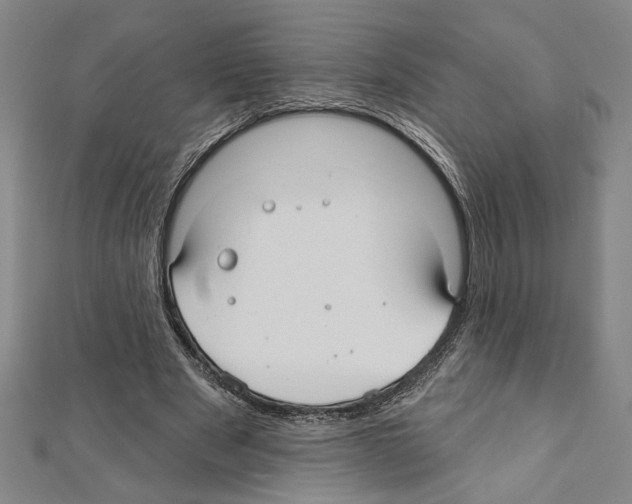 X0000111590489200908271012