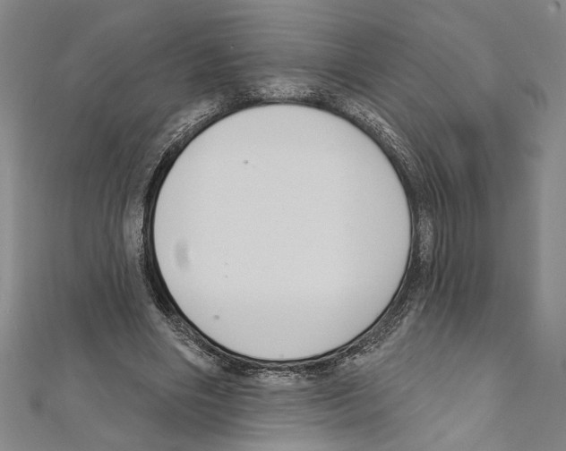 X0000111590490200908271012