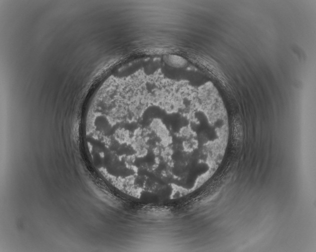 X0000111590491200908271012