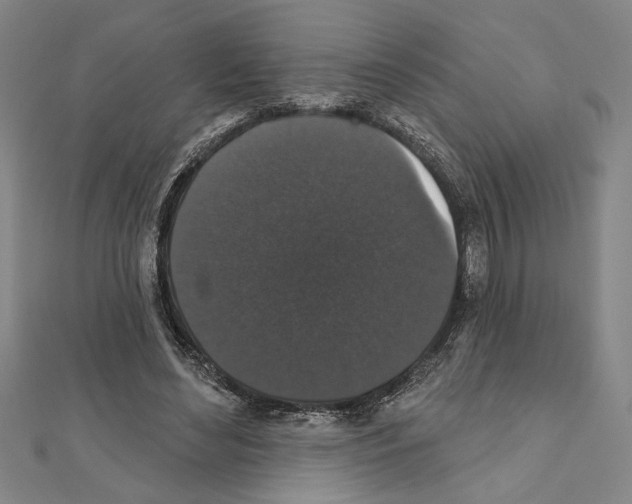X0000111590492200908271012