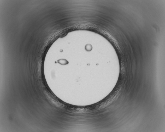 X0000111590493200908271012