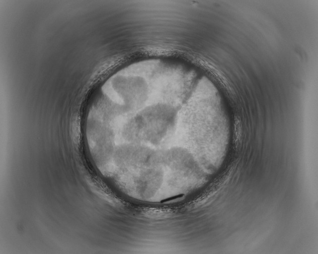 X0000111590494200908271012