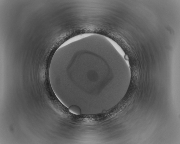 X0000111590496200908271012