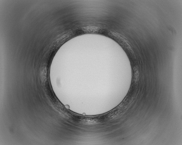 X0000111590498200908271012