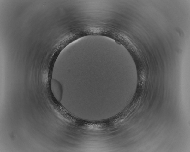 X0000111590500200908271012