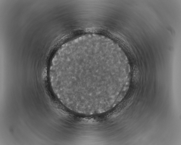 X0000111590502200908271012