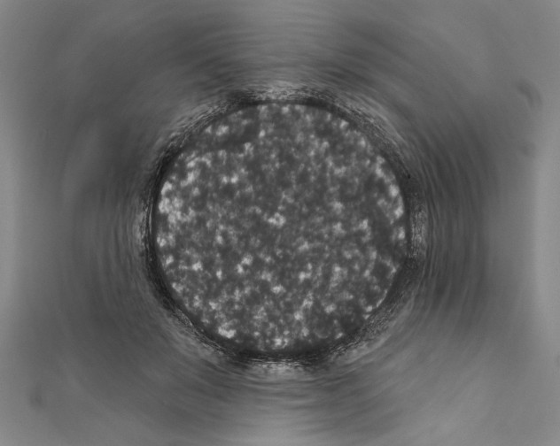 X0000111590503200908271012