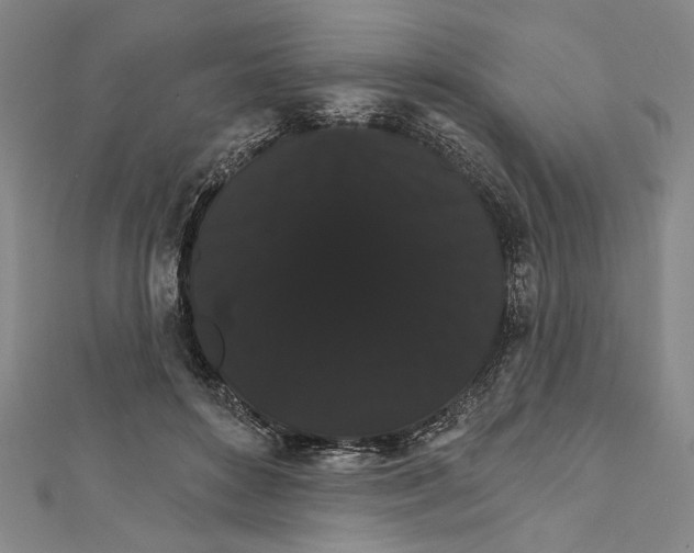 X0000111590504200908271012