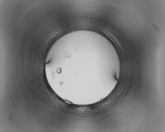 X0000111590505200908271012