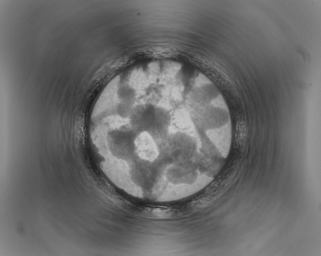 X0000111590506200908271012