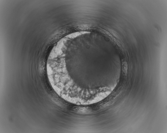 X0000111590507200908271012