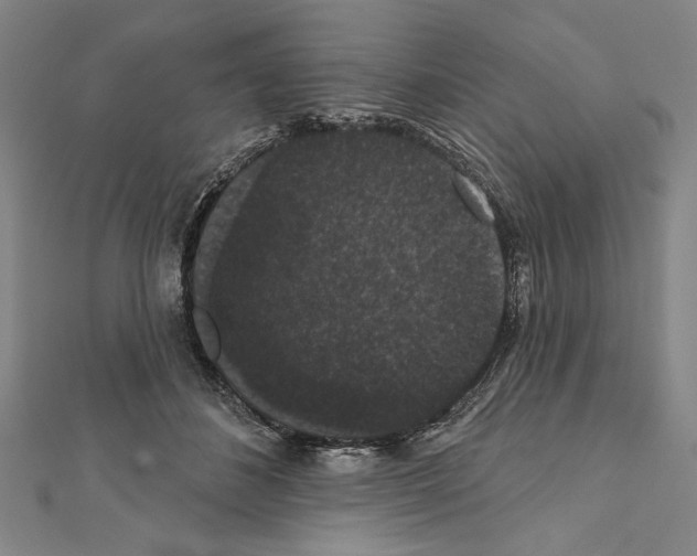 X0000111590508200908271012