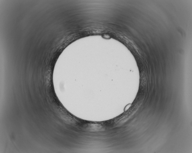 X0000111590509200908271012