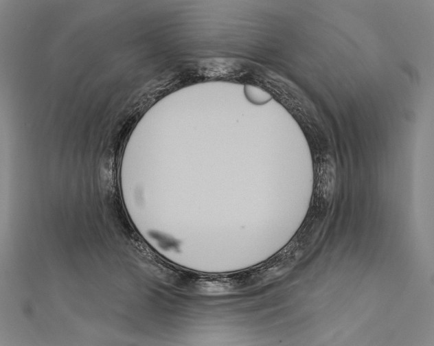 X0000111590510200908271012
