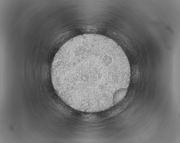 X0000111590511200908271012