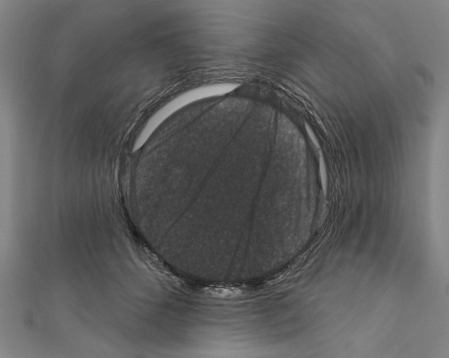 X0000111590512200908271012