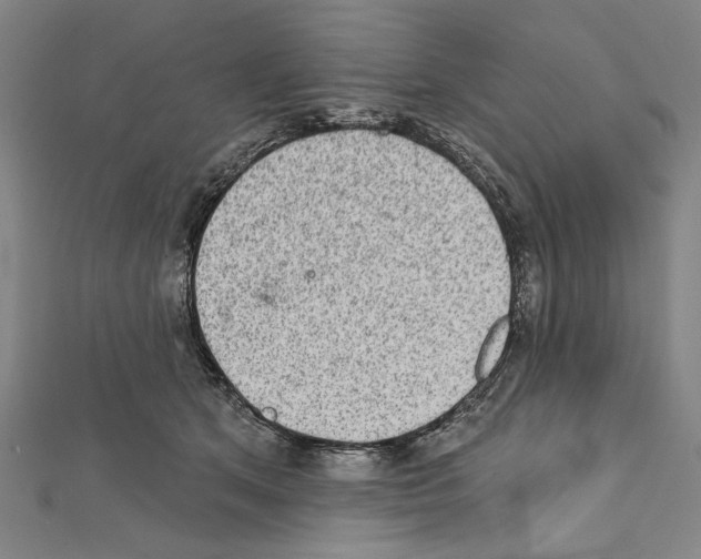 X0000111590513200908271012