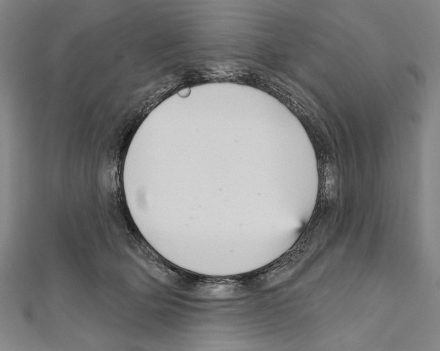 X0000111590514200908271012